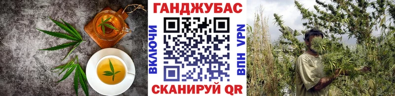 Cannafood конопля  Купить где  Славгород 