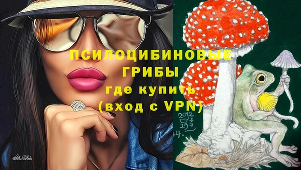 МДПВ Вязьма