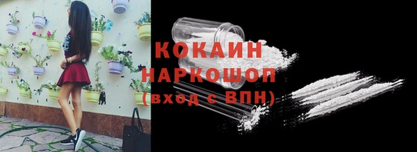 прущие грибы Вязники