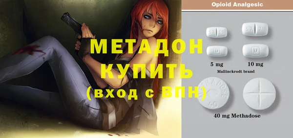 прущие грибы Вязники