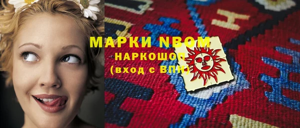 прущие грибы Вязники