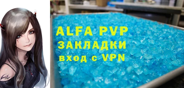 прущие грибы Вязники