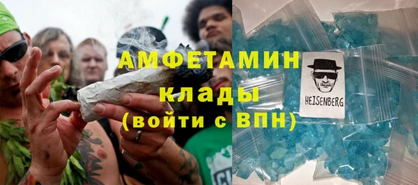 прущие грибы Вязники