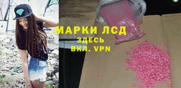 прущие грибы Вязники