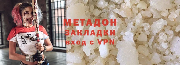 прущие грибы Вязники
