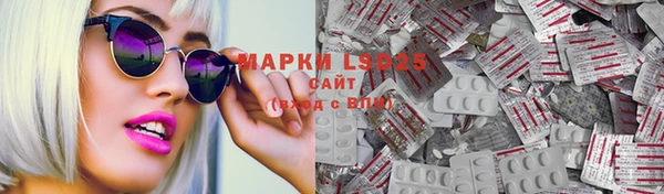 прущие грибы Вязники