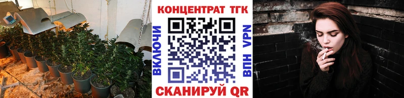 Купить закладки  Славгород  ТГК концентрат 
