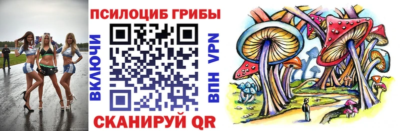 Галлюциногенные грибы ЛСД  Купить закладки  Славгород 